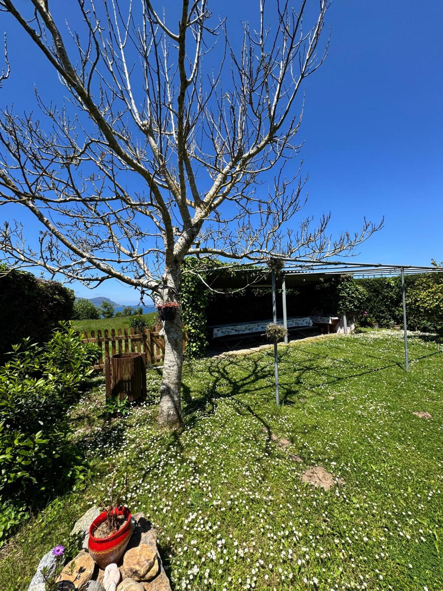 O Cabaleiro Villa Santa Marta de Ortigueira Kültér fotó